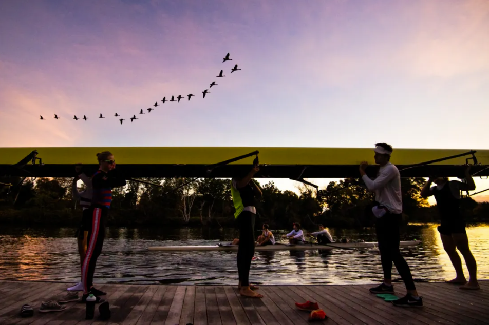 How has the sport of rowing evolved in 50 years?